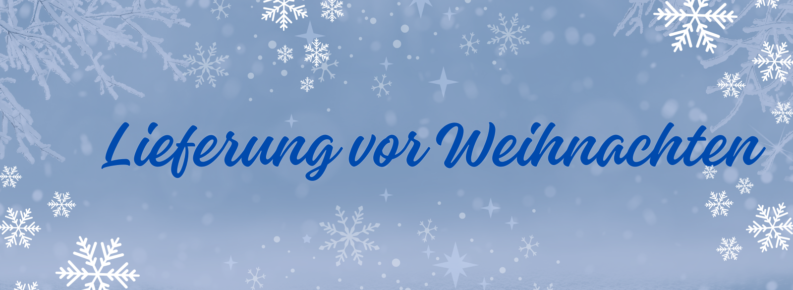 Lieferung vor Weihnachten